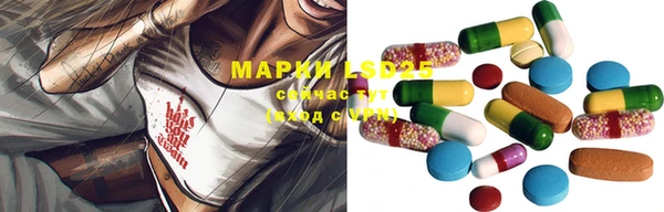 спиды Гусев