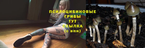 спиды Гусев