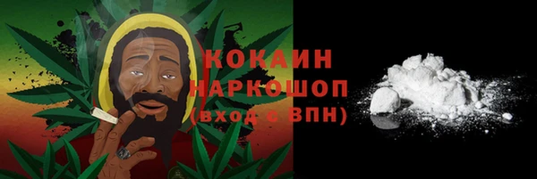 спиды Гусев