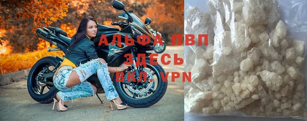 спиды Гусев