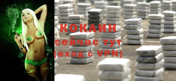 герыч Гусь-Хрустальный