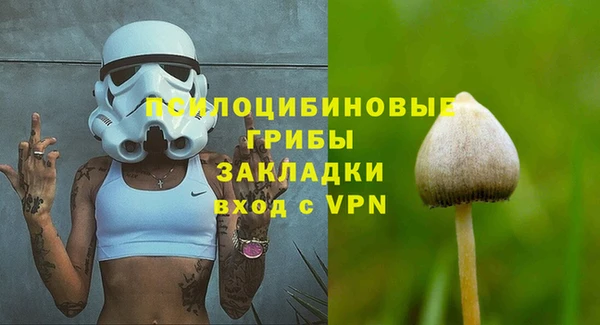 герыч Гусь-Хрустальный