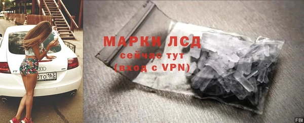 спиды Гусев