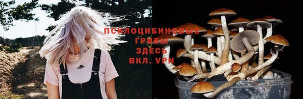 мдма Гусиноозёрск