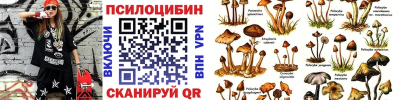 Псилоцибиновые грибы Psilocybe  Дмитровск 